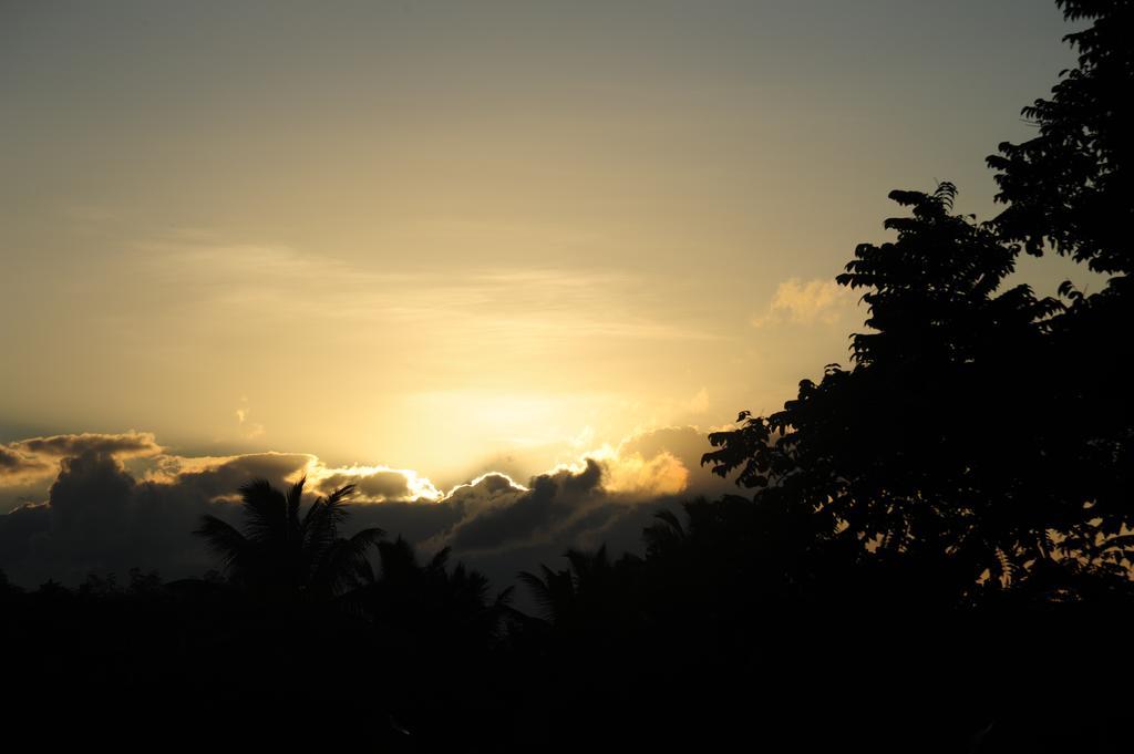 Residence Monte-Cristo Anse Boileau エクステリア 写真